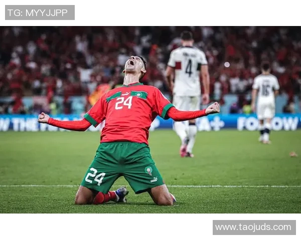 追逐梦想的绿茵传奇足球明星的奋斗与荣耀之路